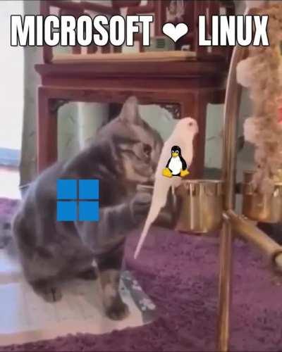 Microsoft ❤️ Linux