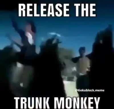 The tronk monke