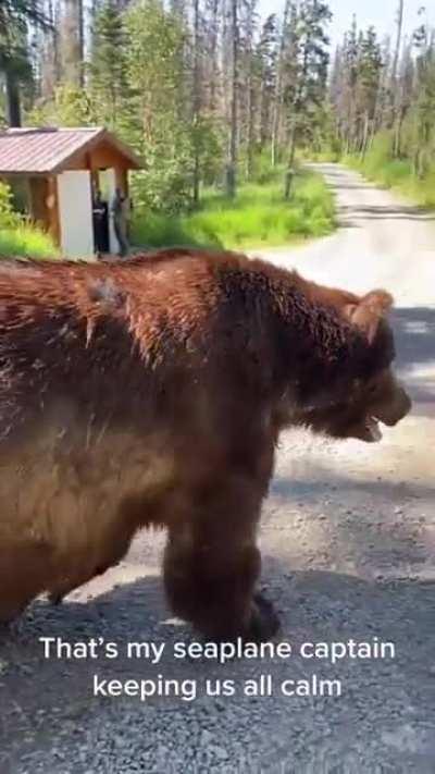 Grizzly checks out his picture