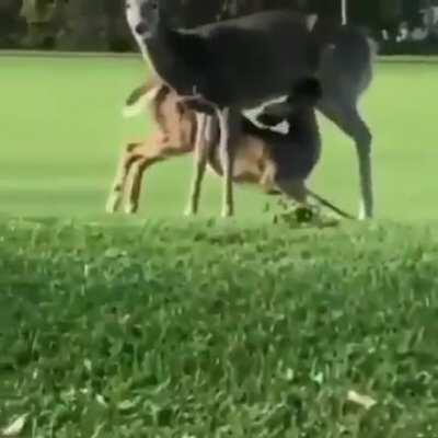 Golfing is really interesting