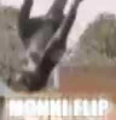 MONKI FLIP??! 🤯😱😱 ?!? le EPIC 😎😎😳🍌🐒🐒