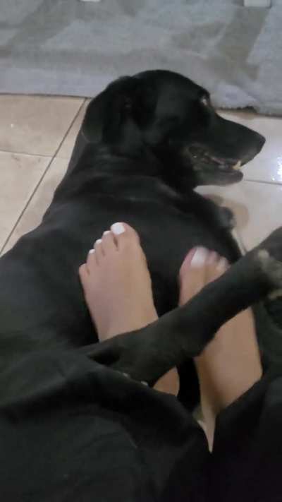 How cute my beautiful feet look on my dog 