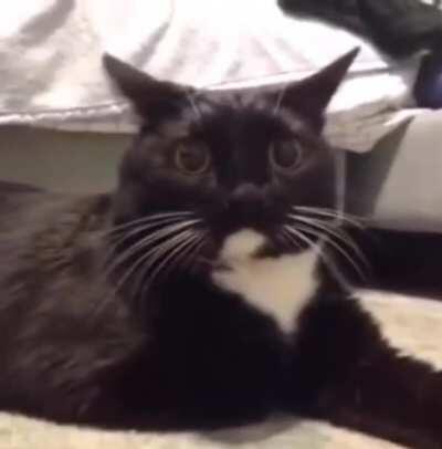 That face of pure terror at the end