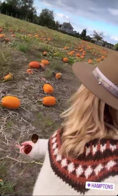 Katheryn with pumpkins, IG 16 October 2023