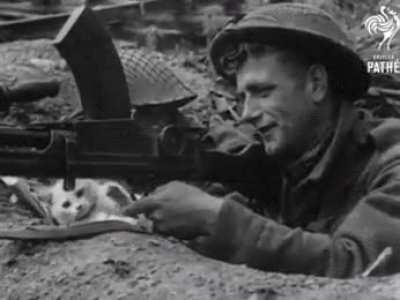 Soldier playing with a cat in his foxhole.