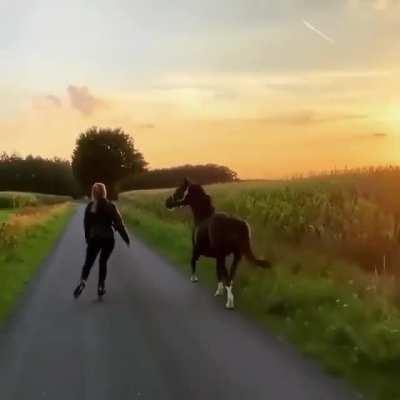 Putting on some Rollerblades and enjoying day with horse and dog in the sunset