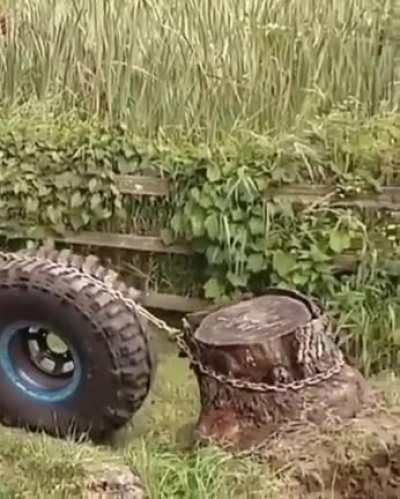 Uprooting a tree root using a tyre