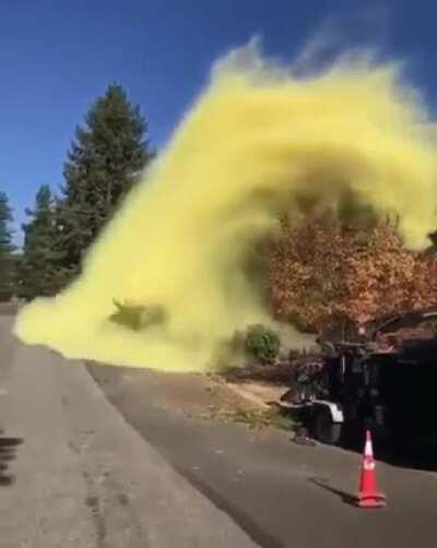 The Amount Of Pollen Released By This Falling Tree