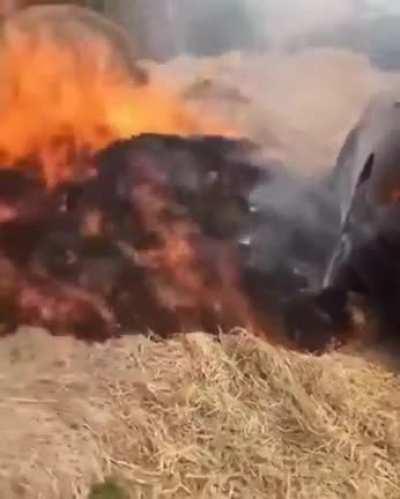 WCGW Getting your car stuck in some hay