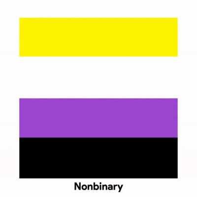 Happy Pride everyone! I made a short guide to some popular pride flags!