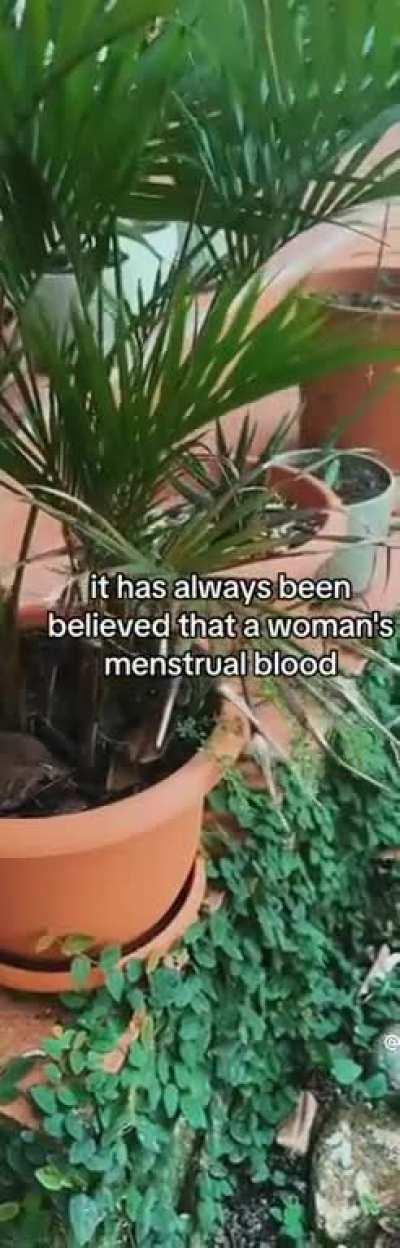 Period blood as plant fertilizer