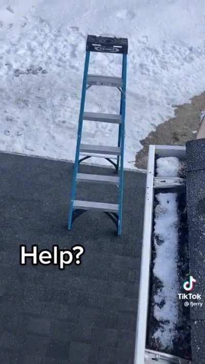 ladder be like 