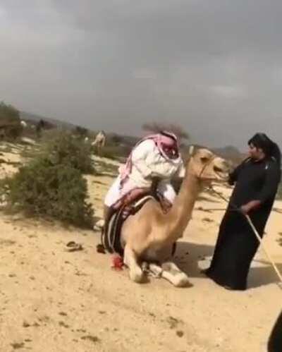 To sit on the camel.....