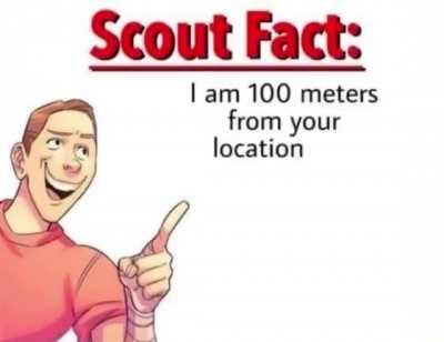 Scout Fact