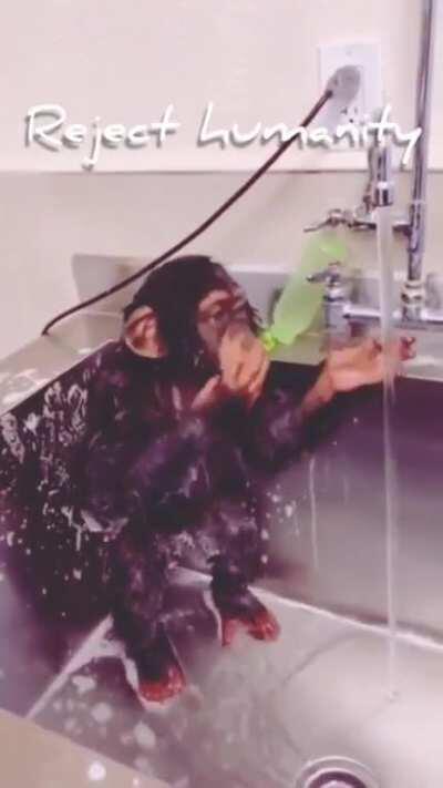 Monke do be getting clean doe