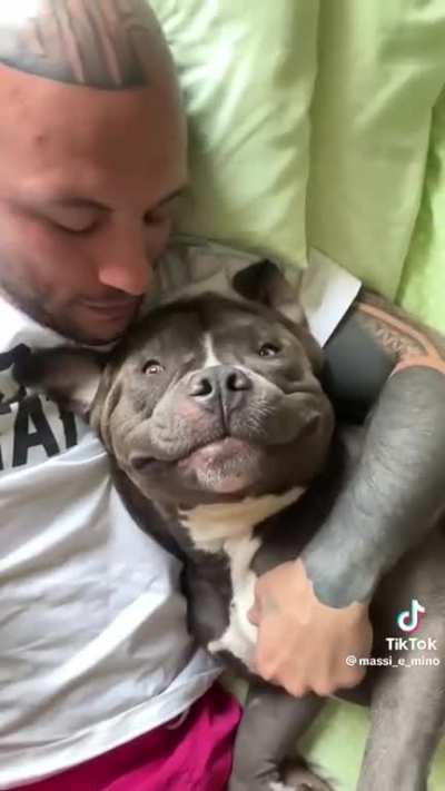 Pittie smooches