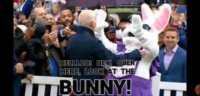 Agent E. Bunny to help Ol' Joe