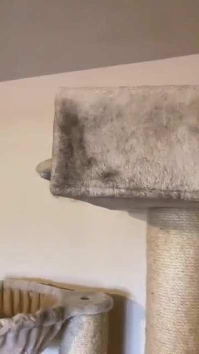 satisfying lint remover