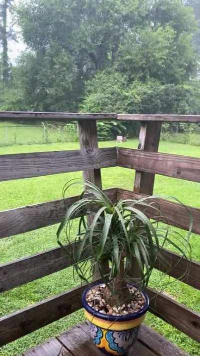 Afternoon showers in Alabama