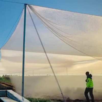 Knocking the morning dew off hail netting (by jackadelaide, via sciencesetfree IG)