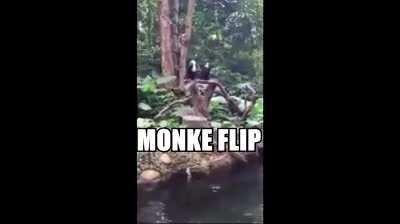 Monke flip 🐒