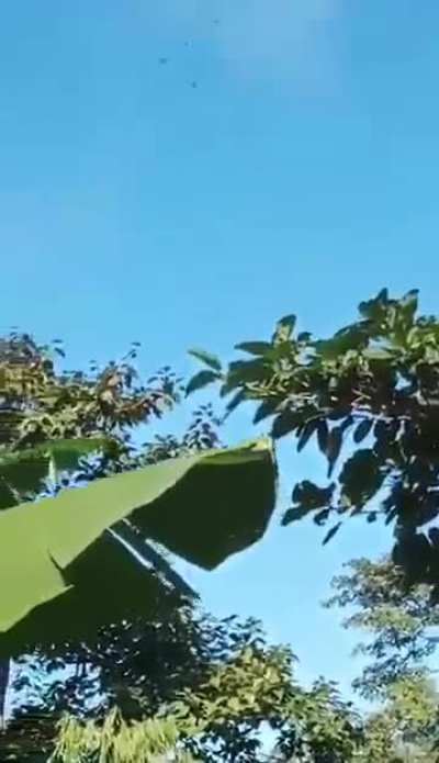  KIA (Kachin Independence Army) fighters released footage of them shooting down a junta helicopter with a Chinese MANPAD.