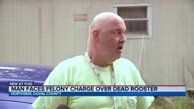 Florida Man facing felony over dead rooster, defends actions