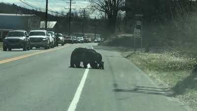 Even Mama Bears have bad days.