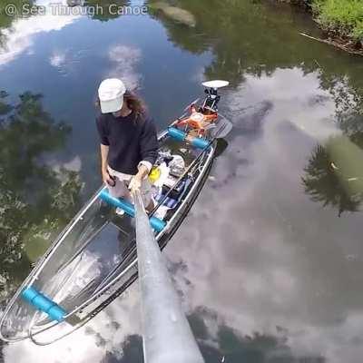 🔥 Waiting for the Manatees to Pass