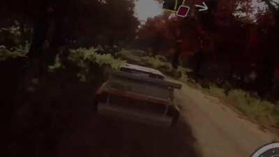 So I made Dirt rally 2.0 into a nutshell