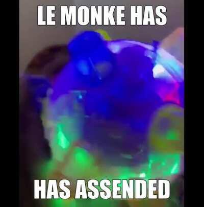 monke has brreached maximimEFFICIANCY