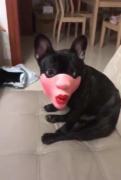 InNoCeNt WoMaN ViCtIm To BoTcHeD PlAsTiC SuRgeRy