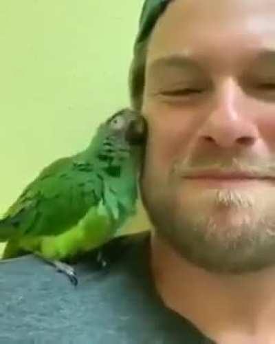 A Man and His Affectionate Birb