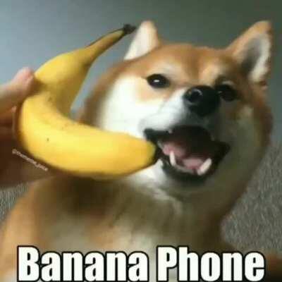 Banana Phone