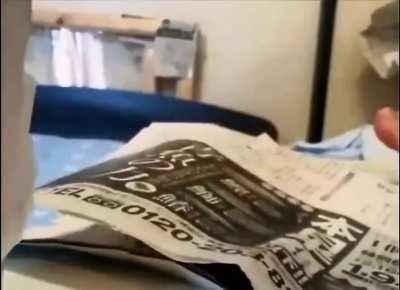 Everything's terrible, so here's a cockatiel hiding in a newspaper playing peekaboo.