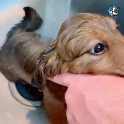 Bathing time 🥰😍