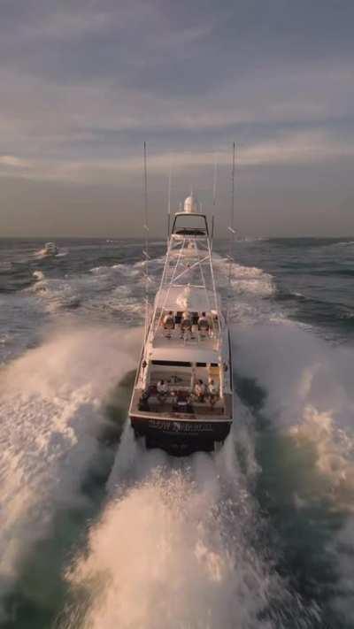 Taken during this years Big Rock Blue Marlin Tournament in Morehead City, NC Mini 3 Pro.