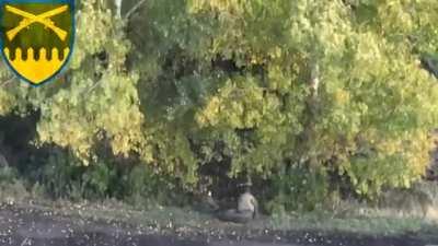 Compilation of Drone Grenade Drops against Russian Infantry by the 92nd Assault Brigade. Ukraine, Autumn, 2022.