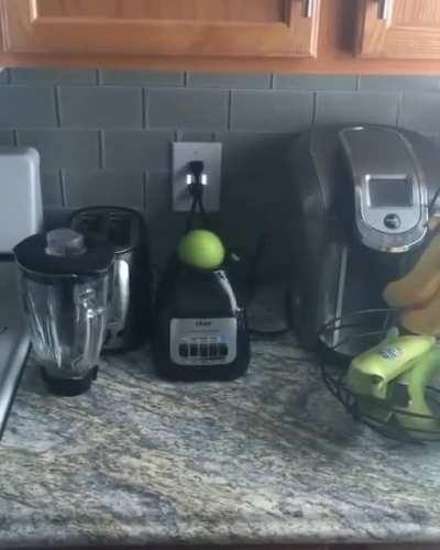 Apple on a blender...