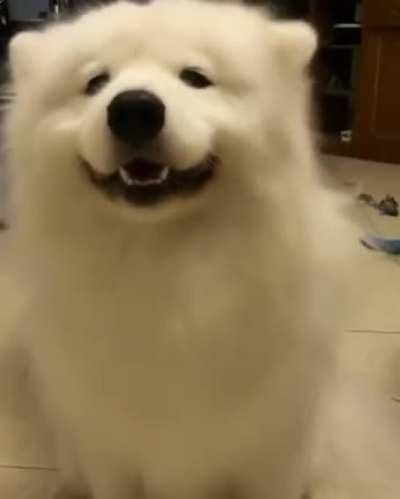 Happy cloud dancing with his ears