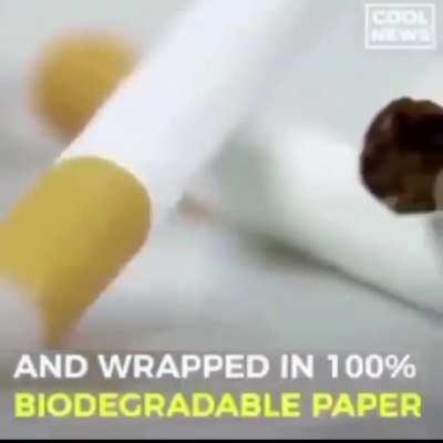 Paper Vapes