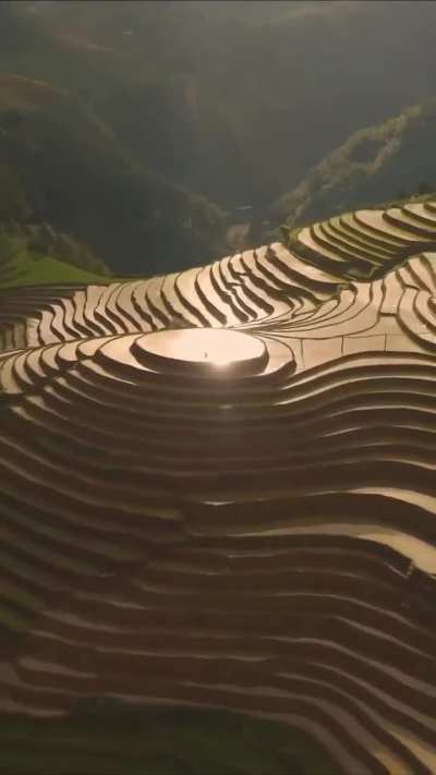 The amazing terraced rice fields in Yen Bai province, northern Vietnam