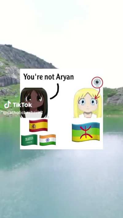 Berbers on Reddit 🫒🗿 vs Tiktok 👱🏻‍♂️⚡️