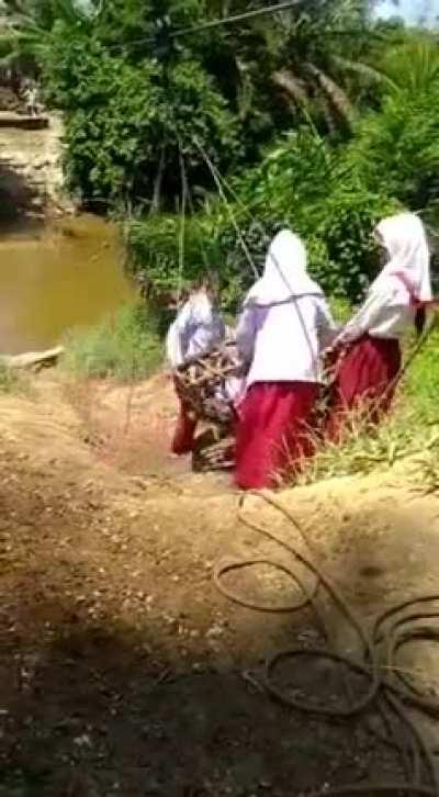 Schoolchildren in a remote Indonesian village have to go &quot;Indiana Jones style&quot; to cross a river to get to their School