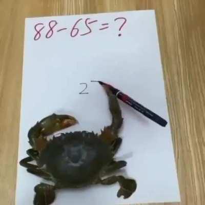 Even a crab can do math quicker and better than JJ