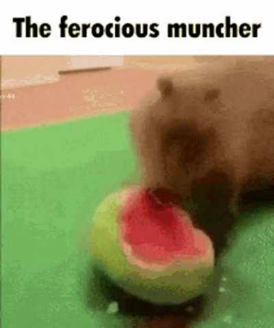 The Ferocious Rule