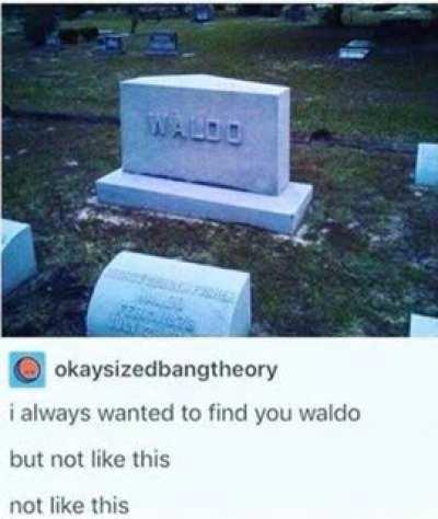 NOOOOOOO NOT WALDO