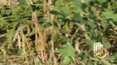 Ukrainian soldiers clash with separatist forces from an entrenched position near Luhansk - 2014