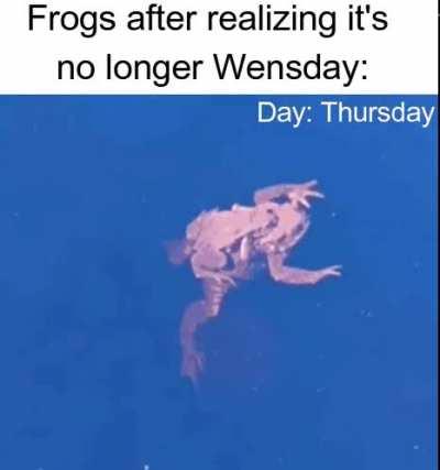 See you next week Wensday frog!