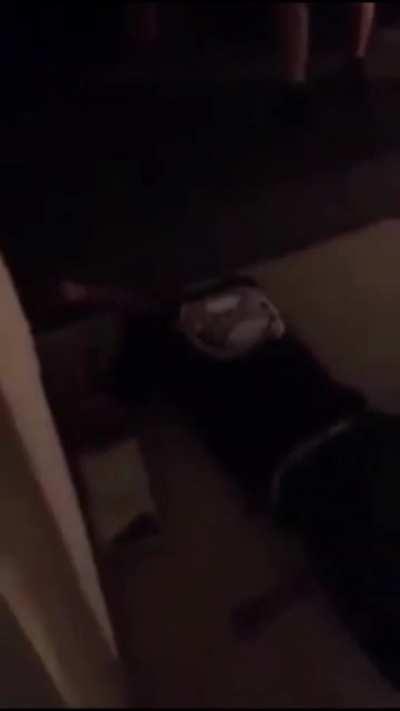 Drunk fight ends with KO